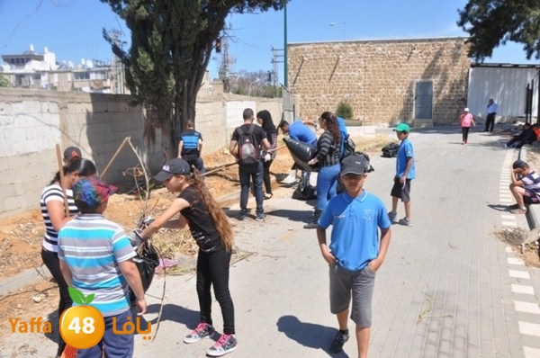 tasoo qemam (21).JPG